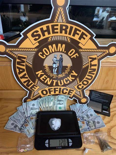 The Wayne County Sheriff&39;s Office says a large scale methamphetamine bust led. . Wayne county drug bust 2022